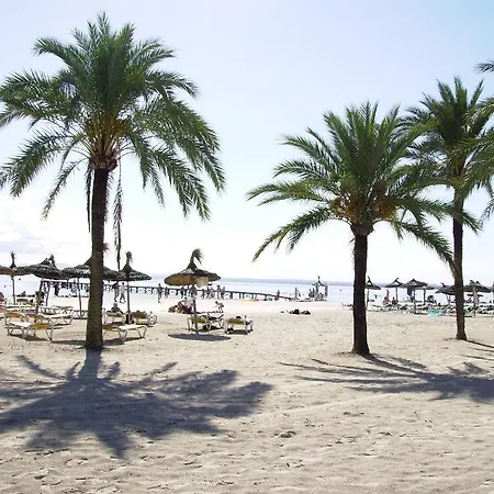 Ses Dalies * Port de Alcudia (Mallorca)